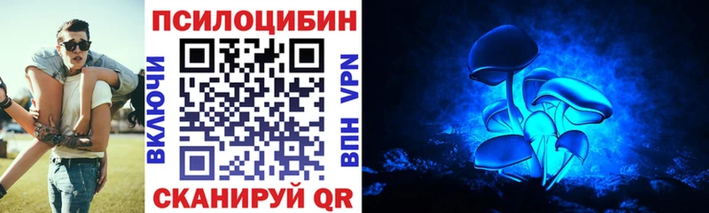 сайты даркнета клад  Пролетарск  Псилоцибиновые грибы Cubensis  хочу наркоту 